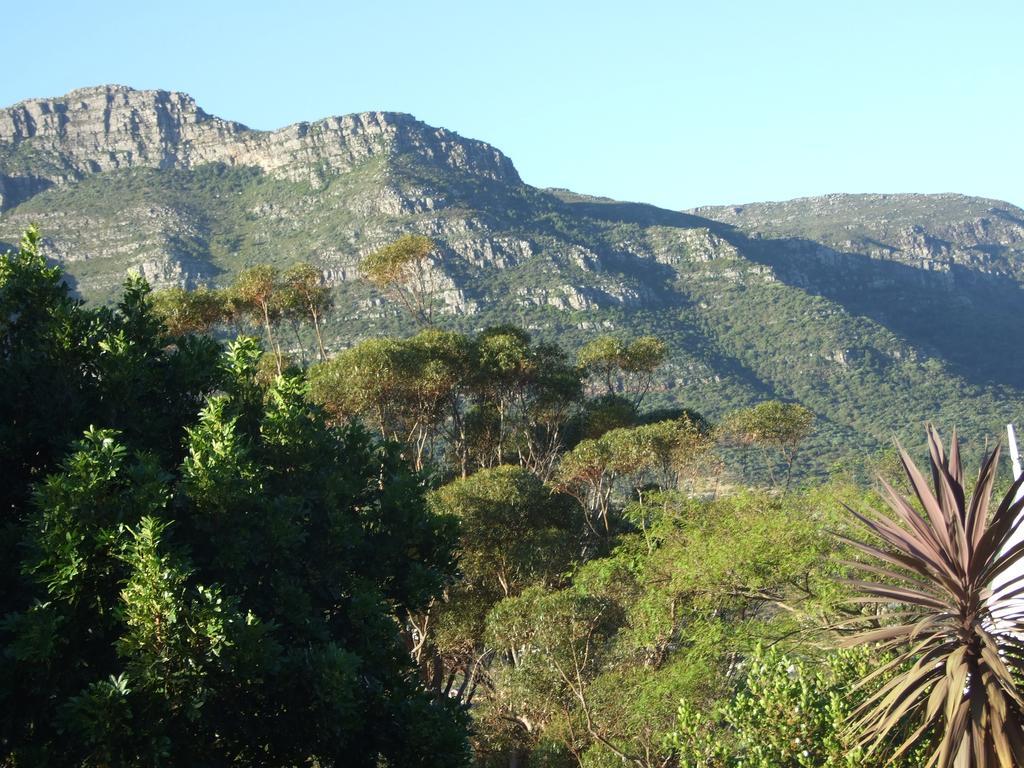 Meadows Mountain View Villa Hout Bay Ngoại thất bức ảnh