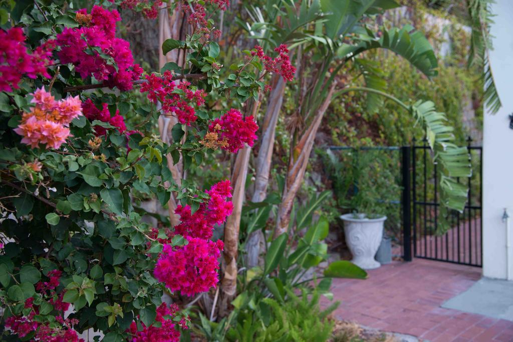 Meadows Mountain View Villa Hout Bay Ngoại thất bức ảnh